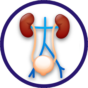 urology